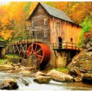 메기의 추억 이미지