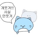 마로니에 하우스 이미지