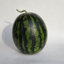 우곡농장 이미지