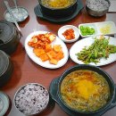 선사삼계탕 | [방이동 몸보신 맛집] 설악골 추어탕삼계탕: 진한 국물로 기력 보충한 후기