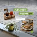 해피치 애견카페 | [독산동카페] 칩스 | 카공·노트북 작업하기 좋은 감성 카페 (애견동반 가능)