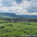 연변냉면 이미지