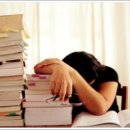 복싱다이어트클럽 이미지