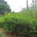 산운로160번길 이미지