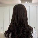 초이진 이미지