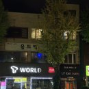 게스트하우스 뮤 | 강릉 혼자여행 숙소 | 게스트하우스 뮤 LP바 무료이용 내돈내산 후기
