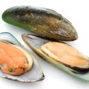 녹색약국 이미지