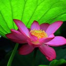 생성의 문(生成의 이미지