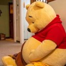 Pooh 이미지