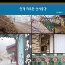 백선사 | 경기도 가볼만한곳 - 안개숲속의 용인 백련사