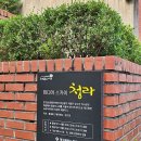 청라푸른담쟁이 이미지