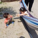 태수아쿠아 이미지