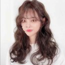 샵오오티디 이미지