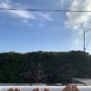 낮은제주 이미지