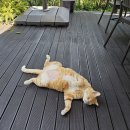 H640 | 용인 고기리 단체펜션 추천! 4가족이 함께한 H640 독채 가족펜션 후기