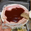 정낭흑돼지 | 을지로 흑돼지 맛집 추천! 산청흑돼지 특수부위 제대로 즐긴 삼청숯불가든 을지로점 후기