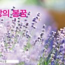 춘산 이미지