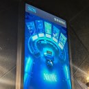 NOX | 제로월드 홍대점 녹스(NOX) 후기｜기대 안 했는데 진짜 꿀잼 잠입테마