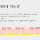 오름한의원 이미지