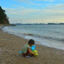 서해바다 이미지