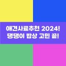 댕댕이밥상 이미지