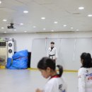 배울태권도장 이미지