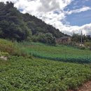 이상은농장 이미지