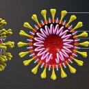 밍크목장 이미지