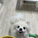 오아오멍 이미지