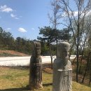 기응세선생묘 이미지