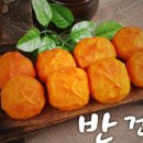 몽페쉬 이미지