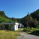 포항시북구47 이미지