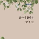 햇살플라워 이미지