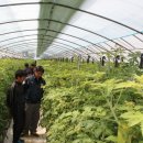 열매 태양광발전소 이미지