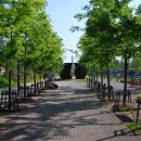 포스코대로 이미지