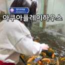 금샘웰니스해수온천 | 부산 수족관 키즈카페 명지아쿠아플레이하우스 모임 후기!