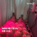 구포한의원 | 다이어트부항5회차!구남한의원 인애한의원