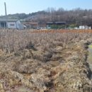 슬항1리마을회관 이미지