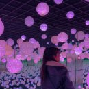 여수시장애인협동조합 | 여수 겨울에 갈만한곳 실내 관광지 아르떼뮤지엄