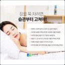 요치 이미지