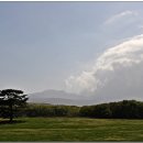 아름드리목장 이미지