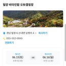 캠핑일기(4)🏕️ _ 밀양 비타민팜 캠핑장‼️