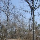 성연목장 이미지