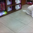 노룬산동물병원 이미지