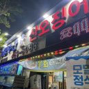 [삼보수산]안양/박달동 항아리물회 맛집 내돈내산 후기