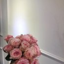 엠알렌트카여행사 이미지