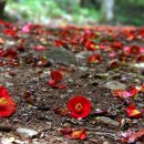 동백 죽전대로3-2 이미지