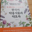 백세장수약초