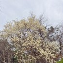 충혼탑 주차장 주변 이미지