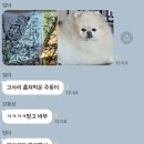부원빨래방 | 사월을 사랑해